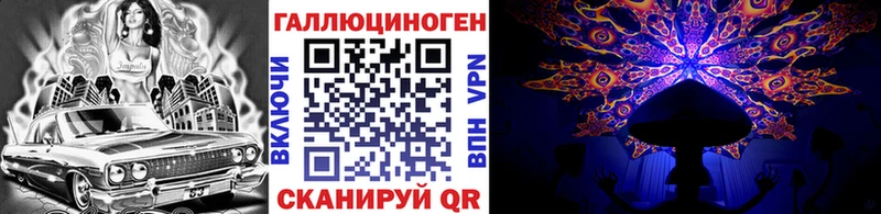 Псилоцибиновые грибы Cubensis Кувшиново
